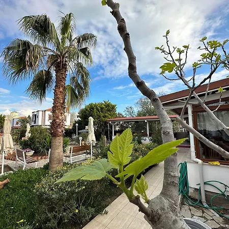Alibey Hotel